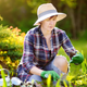 Image for article titled Most Common Mistakes Made By Home Gardeners
